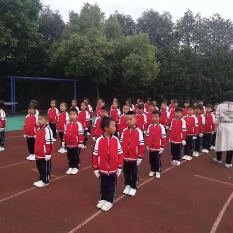 小小少年运动会，健康快乐促成长