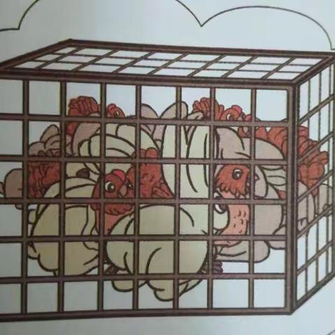 清苑二小四四班数学最美小讲师