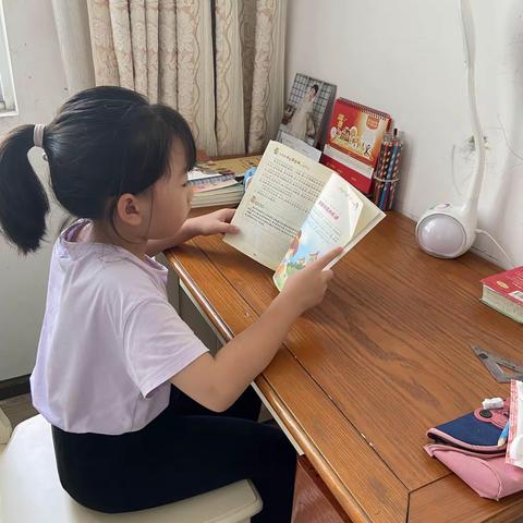 芒市一小289班蚂蚁小组 “宅家抗疫情，暑假不虚度” 雏鹰活动