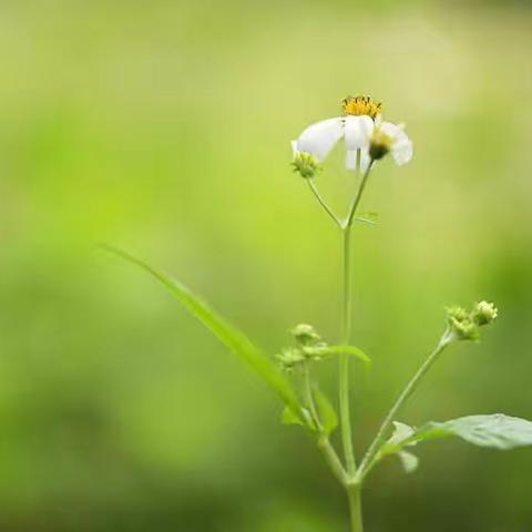 春暖花开🌸为你而来