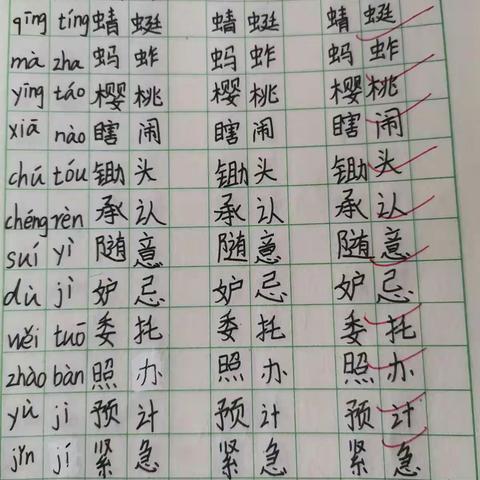 书写工整，字美如画——55班作业记！