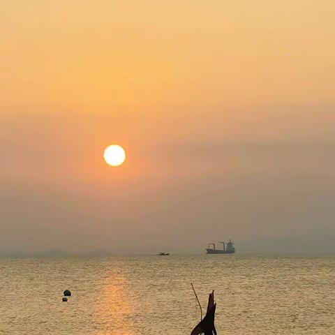 一轮夕阳垂云雾，沙海遍染橘黄中