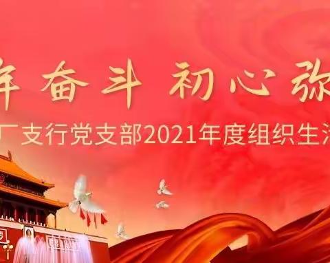 电厂支行党支部召开2021年度组织生活会