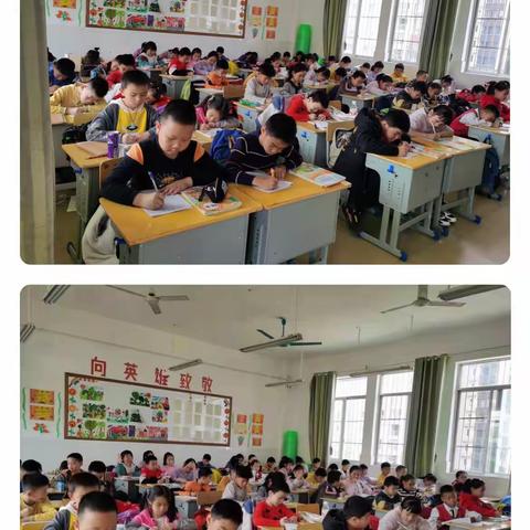 百色市右江区迎龙第一小学三（3）班第十九周周记
