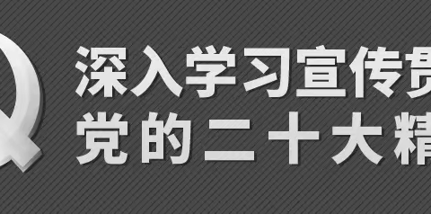 “学习宣传贯彻党的二十大精神，推动全面贯彻实施宪法”——贺兰县第四幼儿园宪法知识宣传周