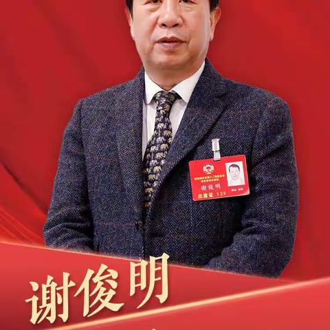 中华谢氏总会《新年贺词》