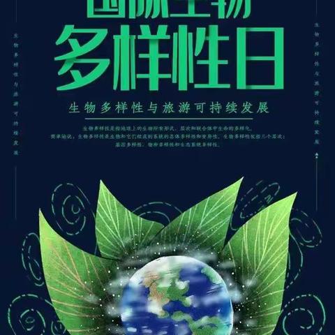 保护生物多样性，我们在行动——四十八镇中心幼儿园