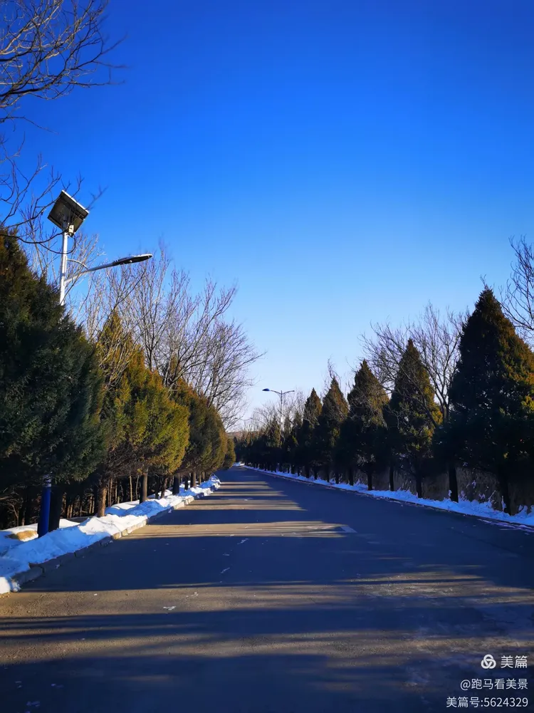 吕梁市柳林县天气在线 吕梁市柳林县天气在线