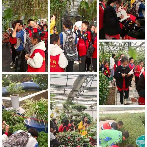 “乐享绿美生态，相约植物家园”——弓村分校小记者开启植物园研学之旅