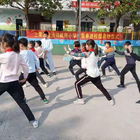 习练太极，锤炼意志，强健体魄！——枫树小学推广太极拳初见成效