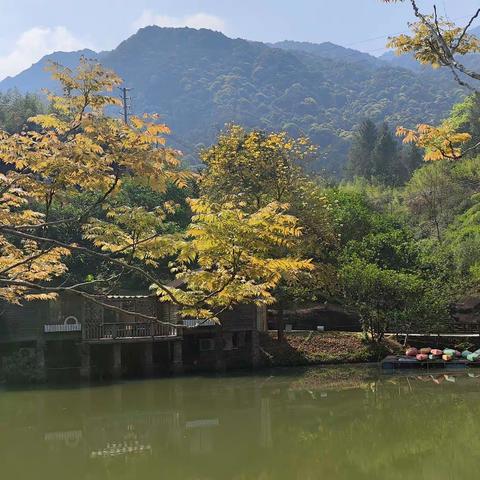 从化一日游之香蜜小镇，小杉村