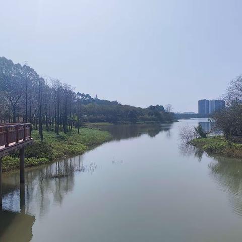 这里风景独好一一花都湖