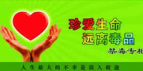 拒绝毒品，从我做起——2018-3班的国旗下演绎的精彩风貌！