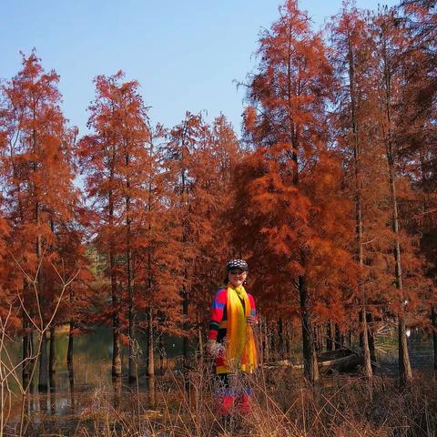 邵阳县七中附近红树林观游2018.11.29.