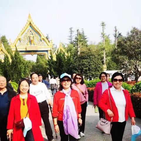 春满河南三日游