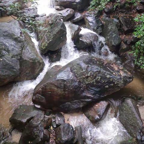 “迎七一庆党建”红色革命传统教育主题党日活动