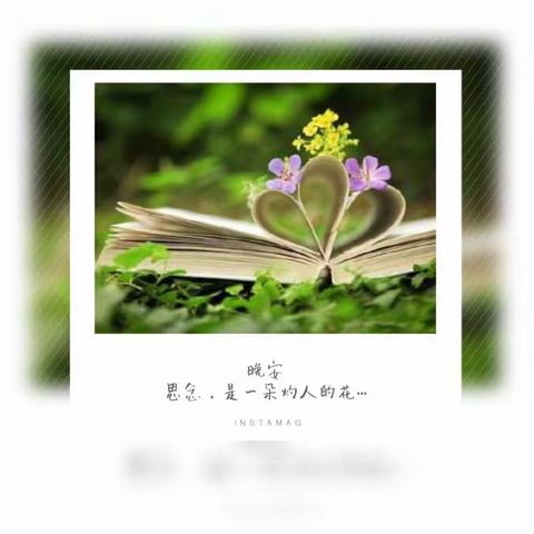点滴念想  暖ོ❤️不已