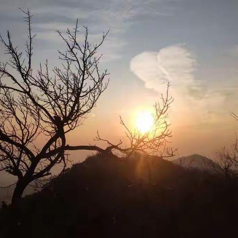 周六，北京 香山登顶游记