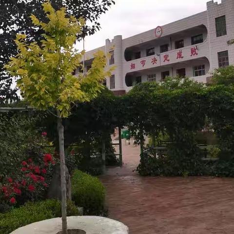 以研促教，共同成长———        阳兀川小学语文教研活动