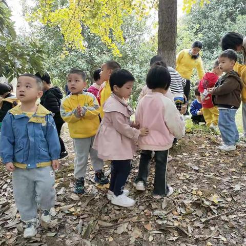 小一班11月份生活化课程《大地休息啦》