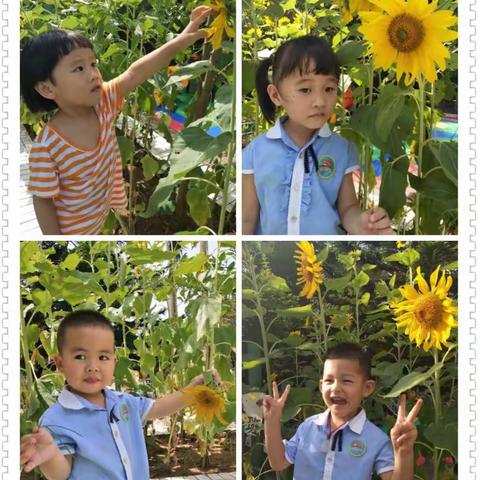 中（一）班五月份生活剪影