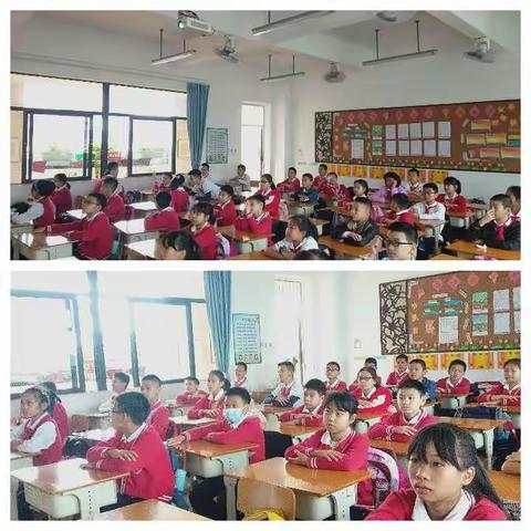 我劳动，我快乐！—黄圃镇新地中心小学五(4)班劳动实践课