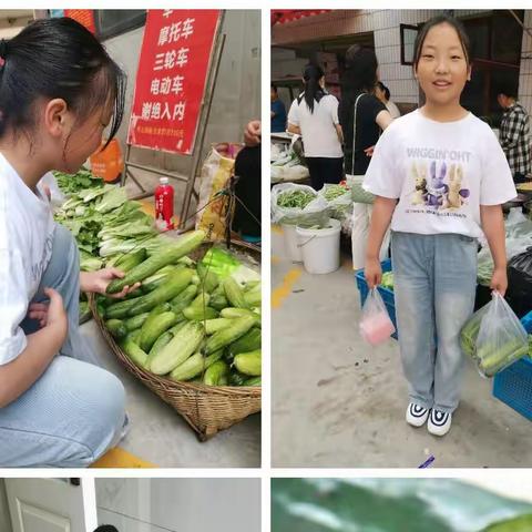 今天我当家 城关小学五年级(1)班 但佳轩