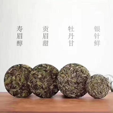 世界白茶在中国 中国白茶在福鼎