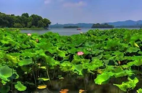 温情夏日，沟通不断——记2023年暑期家访活动