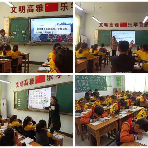 橙黄橘绿各有长，缤彩纷呈课堂活——记褚墩镇中心小学语文青年教师赛课活动（中小组）