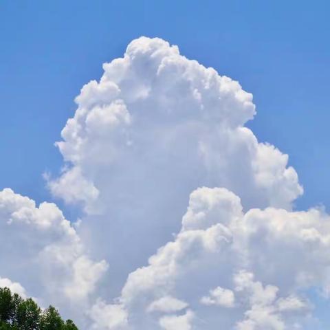 品名师课堂，悟名师之道