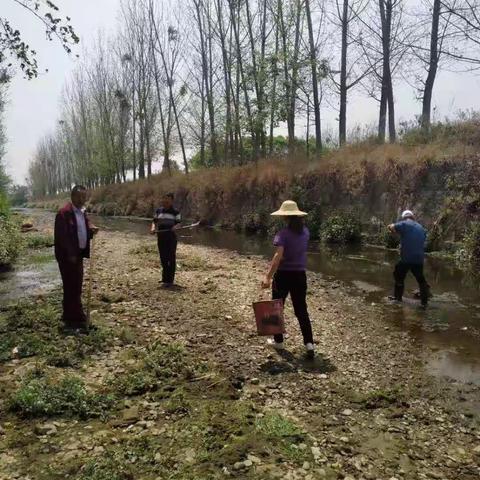 接到上级通知后永丰社区及时组织人员对贾龙河河道整治