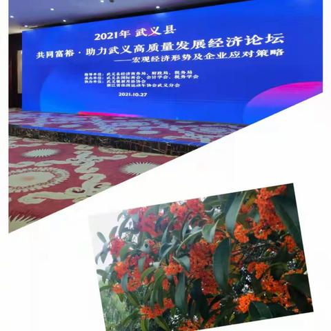 2021年“共同富裕·助力武义高质量发展经济论坛”圆满举行