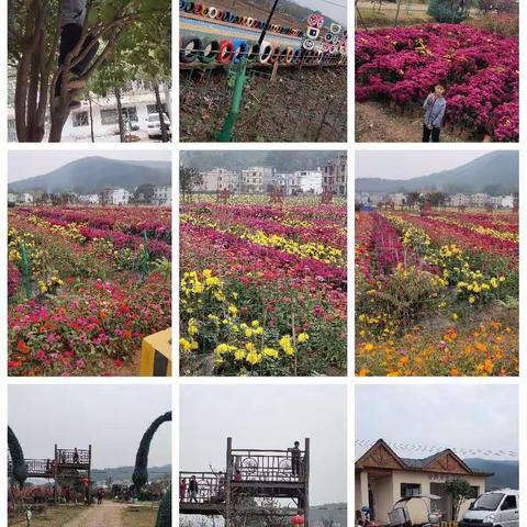 黄运生（炽昌）的美篇