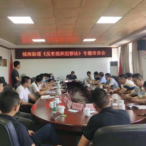 城南街道学习宣传《反有组织犯罪法》系列活动