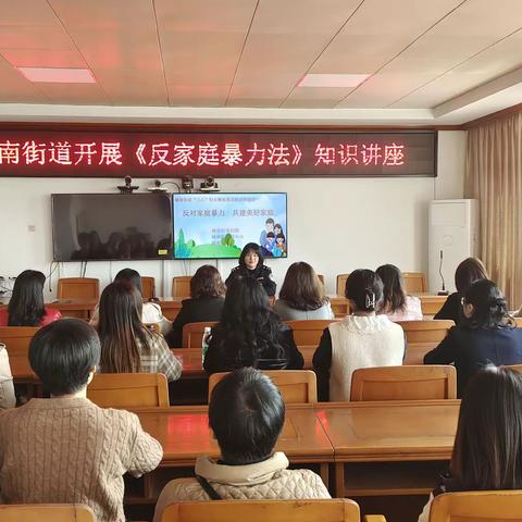 城南街道开展《反家庭暴力法》宣传活动