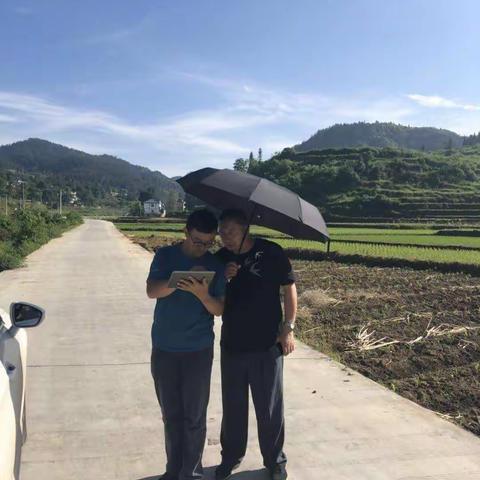 凤冈县森林生态产业资源大普查省级质检顺利通过