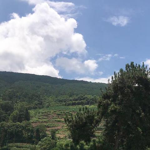 老战友相约 新乡村观光