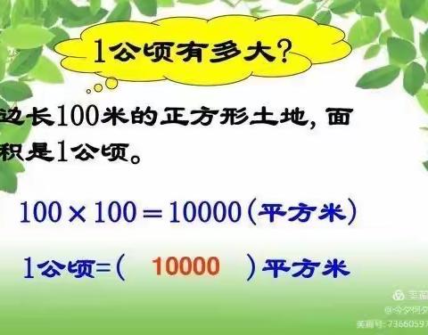 一公顷和一平方千米实践体验