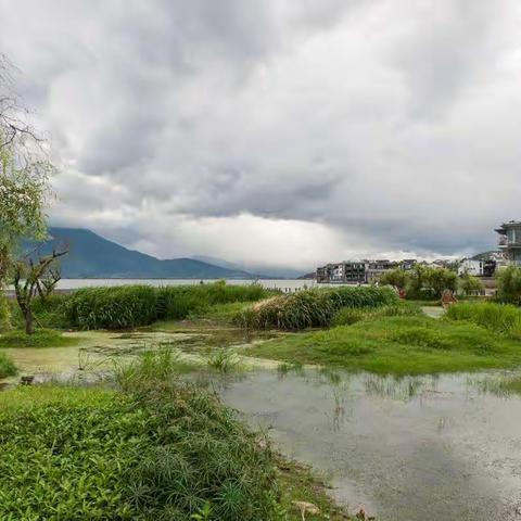 一次说走就走的旅行……之四……丽江、大理