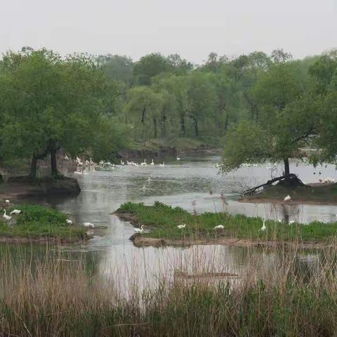 巢湖，往昔的足迹，留个记忆。