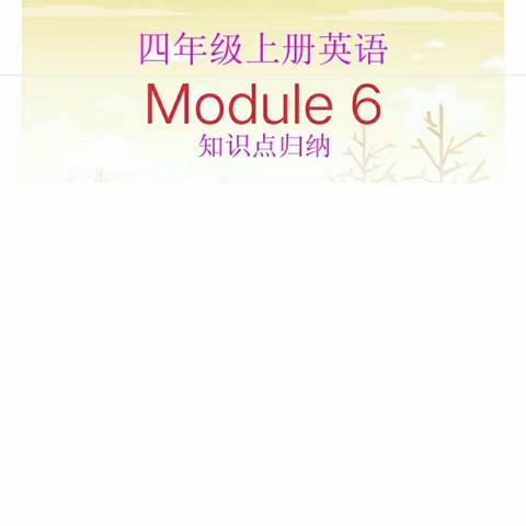 外研版四年级上册英语Module 6知识回顾