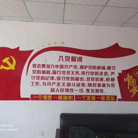 燕川乡非公企业党支部助力武汉抗疫情