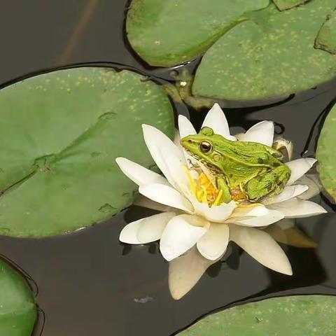 夏至