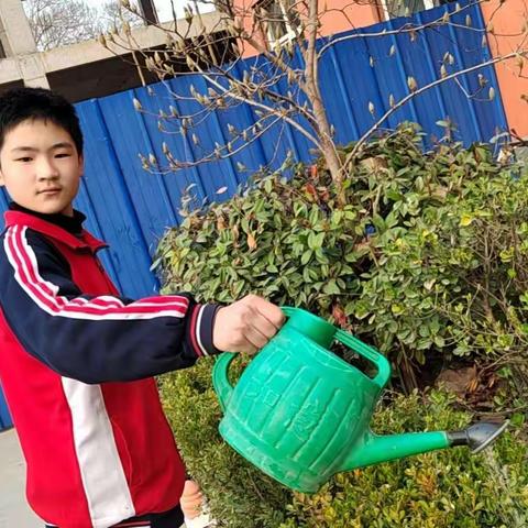 东南王学校——植树节