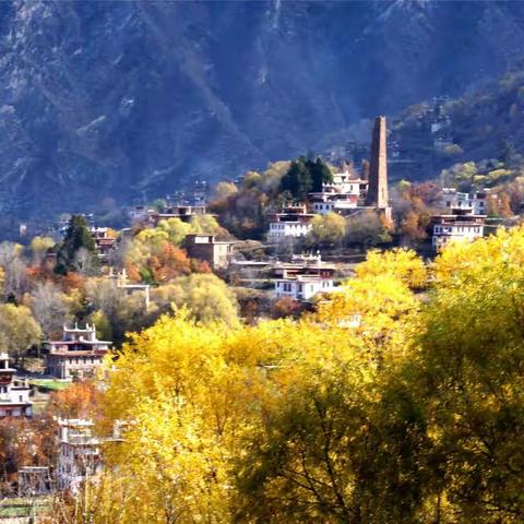 川藏行——11.1～11.20（十二）