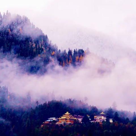 川藏行——11.1～11.20                  （五）