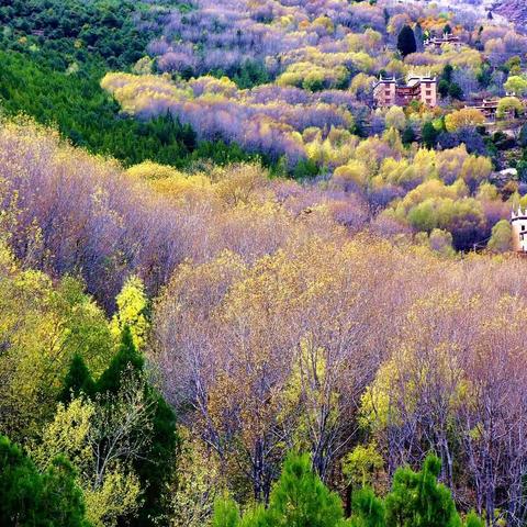 川藏行——11.1～11.20（十⼀）