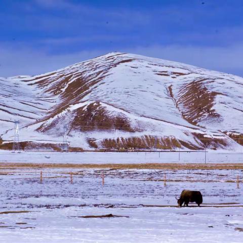 川藏行——11.1～11.20          (八)