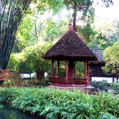 川藏行11.1——11.20（十四）